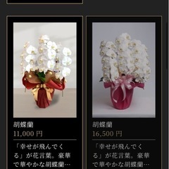 アークフラワースタジオ　胡蝶蘭（造花）の画像