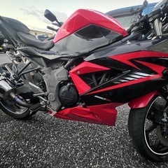 カワサキニンジャバイクの画像