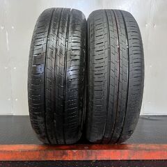 BS BRIDGESTONE ECOPIA EP150 195/...