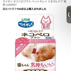 【中古・美品】猫用ブラシの画像