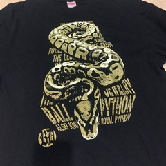メンズ/Tシャツの画像