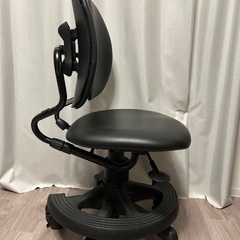 椅子　デュオレスト DR-289BYの画像