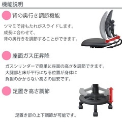 椅子　デュオレスト DR-289BYの画像