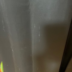 radyカーテンの画像