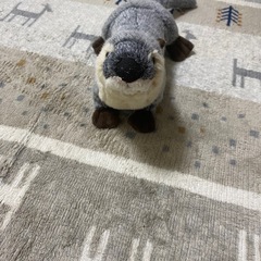 カワウソのぬいぐるみ美品の画像