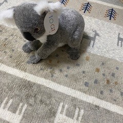 🐨コワラの　ぬいぐるみの画像