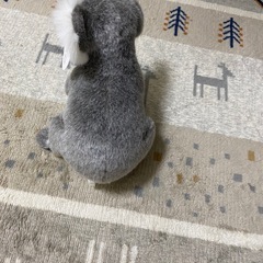 🐨コワラの　ぬいぐるみの画像