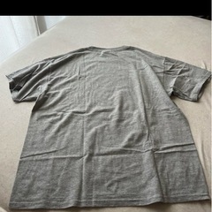 SQUIRREL FEST グレー Tシャツ　lサイズの画像