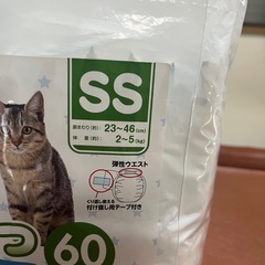 ペット用紙オムツの画像