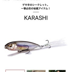 【ルアー】メガバス　カラシの画像
