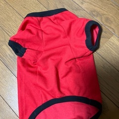 犬の服の画像
