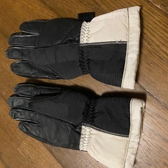 スキー手袋の画像