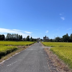 ランニング　ウォーキング