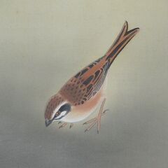 掛軸（肉筆の1点もの）入江正巳(1924～2004)作の「ぶどうに小鳥」 絹本  共箱  二重箱　太巻きの画像