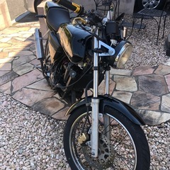 YAMAHA RZ50
の画像
