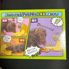 わんこのでるでるごはん
の画像