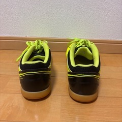 Tigora フットサルシューズの画像