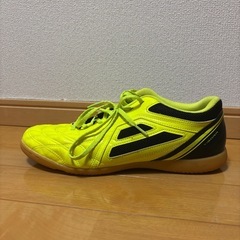 Tigora フットサルシューズの画像