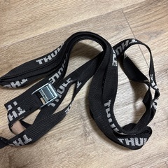 THULE Canyon 859XT スーリー  ラックの画像