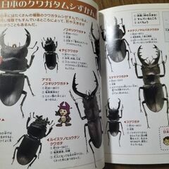 いきものなるほど図鑑「クワガタ・カブトムシとそのなかま」の画像