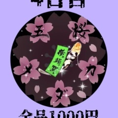 【五桜メダカ】 9月30日　全品1000円SALE 4日目横須賀...