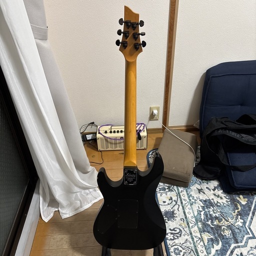 エレキギター
Schecter Damien FR-6 Diamond Series
