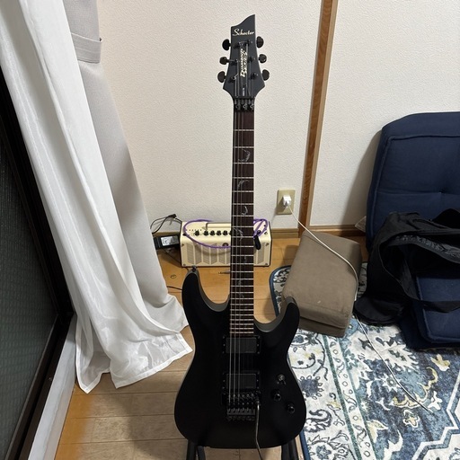 エレキギター
Schecter Damien FR-6 Diamond Series