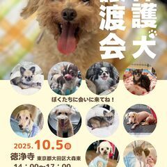 保護犬 譲渡会 10月5日 東京都