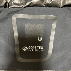 TIGORA ダウンジャケットGORE-TEX INFINIUM 　 の画像