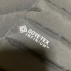 TIGORA ダウンジャケットGORE-TEX INFINIUM 　 の画像