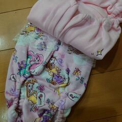 ディズニープリンセス　パンツの画像