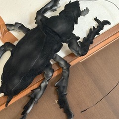 スポンジゴキブリオブジェの画像
