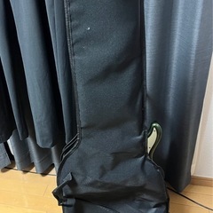 エレキギター SELVA ピック・ケース・スタンド付きの画像