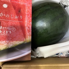 黒すいか 2玉の画像