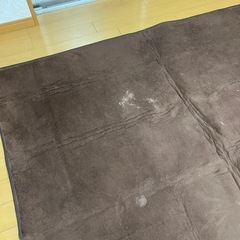茶色 カーペット ラグの画像