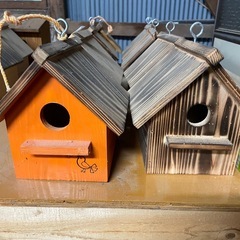 野鳥　鳥小屋　写真の全部　の画像