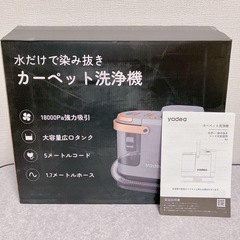 【✨新品✨】カーペットクリーナー　リンサークリーナー　ソファ　絨毯　水洗い 車　カーペットの画像