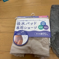 高齢者用　尿もれ用、普通婦人用の画像