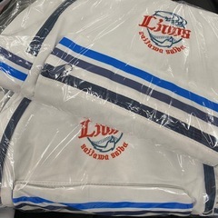 【新品】埼玉西武ライオンズ　アミューズメントエリア景品　リュックサック　 応援　バッグ　グッズ　限定　非売品の画像