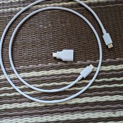 皿、米入れ、充電器の線の画像