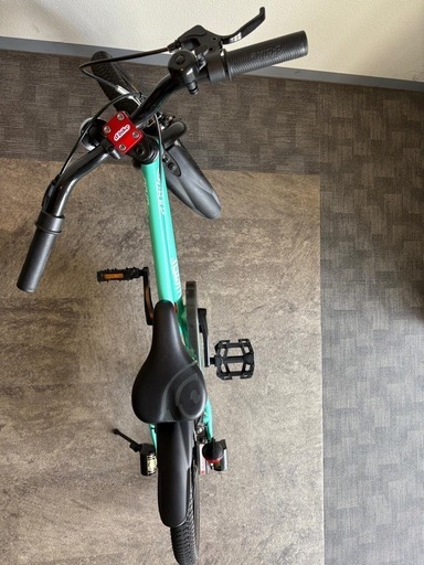 子供用自転車兼キックバイク Dバイク Master+ 18インチ