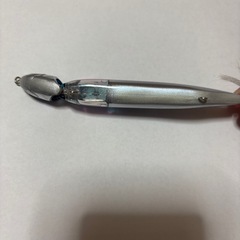 ジジルF フラッシュブーストの画像