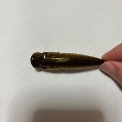 ポップマックス　2000の画像
