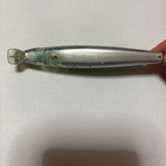 シャローアサシン99F  フラッシュブーストの画像
