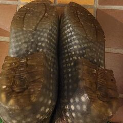 ITALICOレインブーツ 日本製 ショート丈 防水雨靴Sの画像