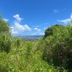 あおぞら運動教室を通した、友達やコミュニティづくりの画像