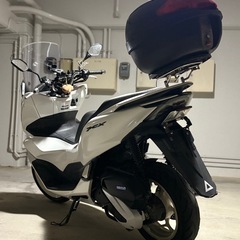 pcxjk05 05の画像