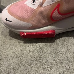 NIKE ファンタンカ　エッジ　25センチの画像
