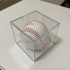 【マカロニえんぴつ】ライブ記念品⭐︎野球ボールの画像