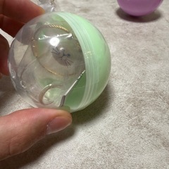 うちの子のけだまだまの画像